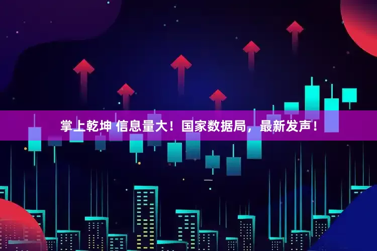 掌上乾坤 信息量大！国家数据局，最新发声！