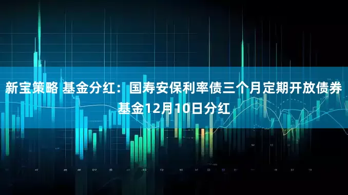 新宝策略 基金分红：国寿安保利率债三个月定期开放债券基金12月10日分红