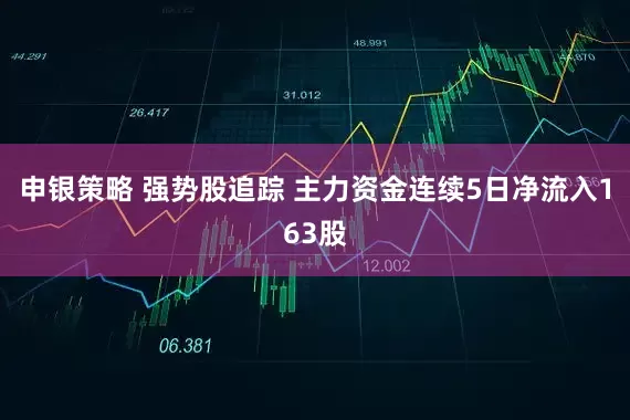 申银策略 强势股追踪 主力资金连续5日净流入163股